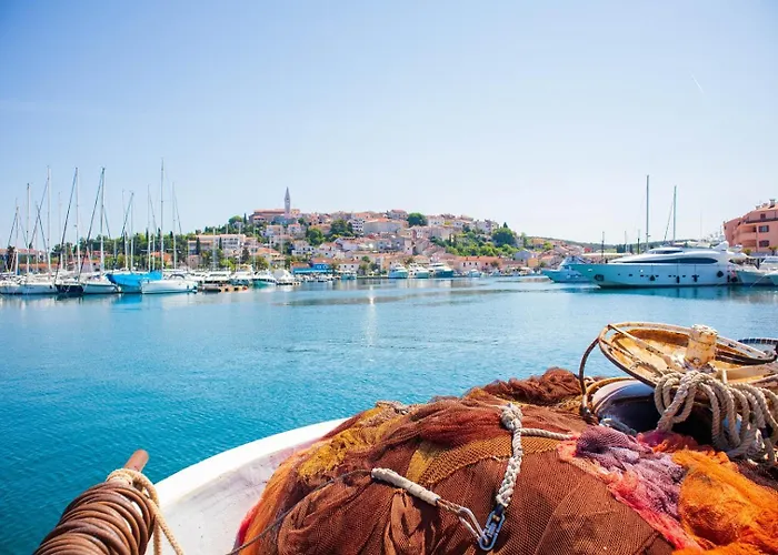 Major Near Vrsar And Lim Fjord